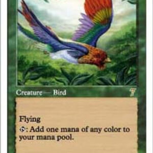 Birds of Paradise (foil)